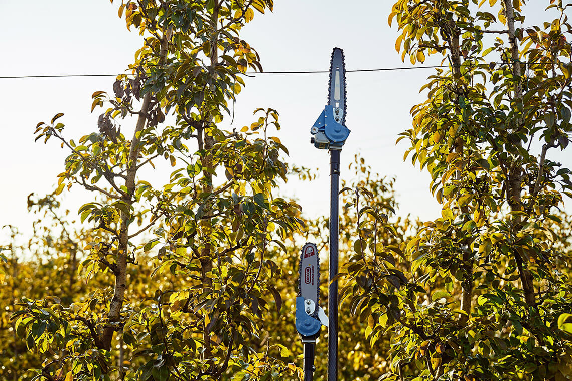 Piła łańcuchowa Autolube M3